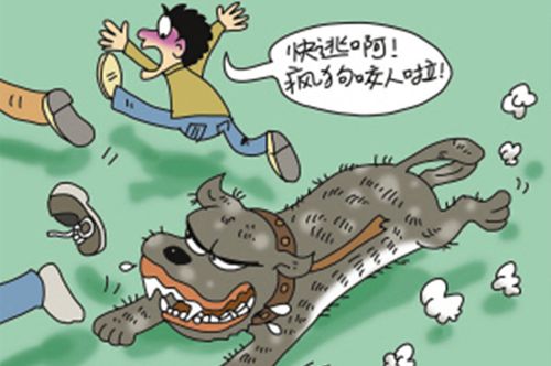 網(wǎng)站收錄在網(wǎng)站優(yōu)化中起到什么作用？