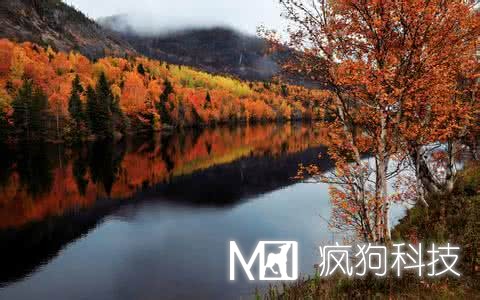 如何利用百度點擊原理提升關鍵詞排名 