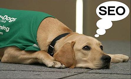 哪些類型的改動(dòng)會(huì)影響到網(wǎng)站的seo？