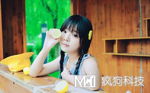 SEO與SEM如何作抉擇？