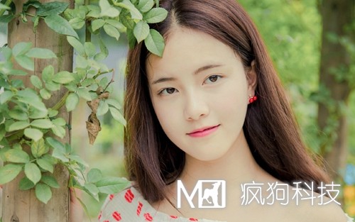 2017年網(wǎng)站推廣的20個(gè)方法策略？