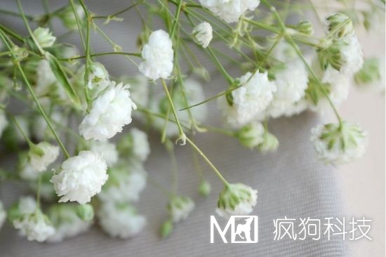 小網(wǎng)站每天外鏈更新 這四個(gè)方式就足夠了