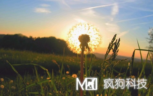 網(wǎng)站結(jié)構(gòu)優(yōu)化之物理結(jié)構(gòu)與邏輯結(jié)構(gòu)有哪些區(qū)別