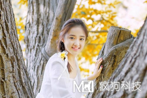 網站優(yōu)化中的死鏈是如何產生的？