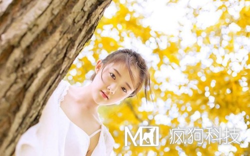 收藏：快速頁面收錄的六大絕技！