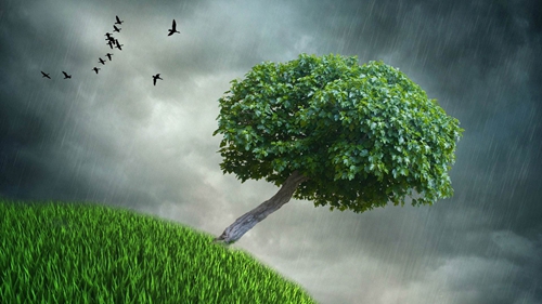 對于網(wǎng)站重復(fù)類型的優(yōu)化方案